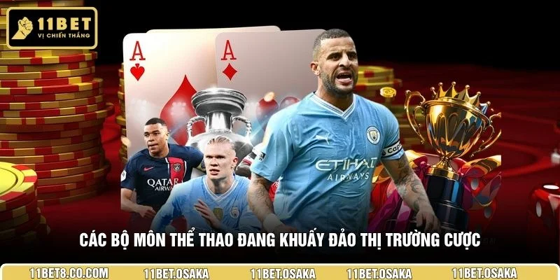 Các bộ môn thể thao đang khuấy đảo thị trường cược 